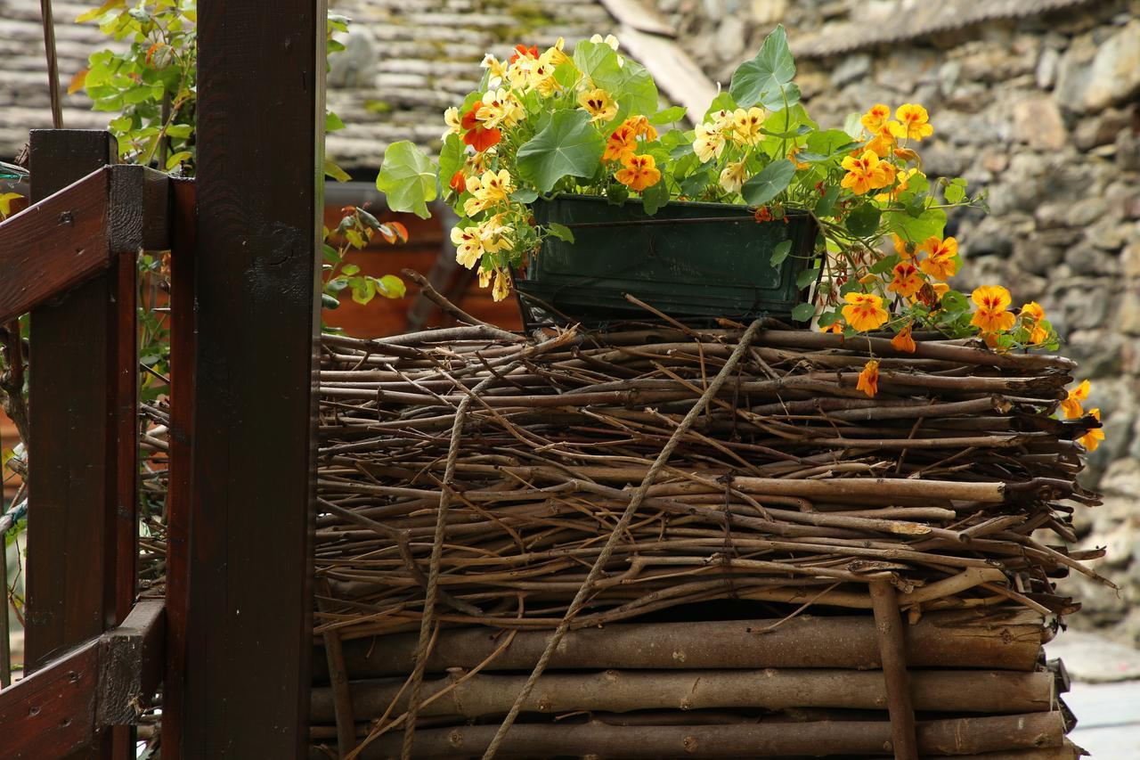 Residence Casa Dei Fiori Alagna Valsesia Exterior photo